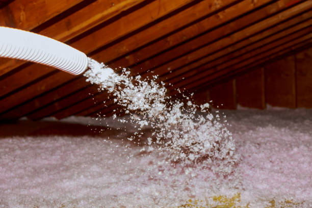 Best Residential Insulation in Ripon, WI