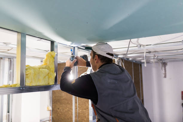 Best Eco-Friendly Insulation in Ripon, WI