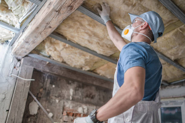 Best Cellulose Insulation in Ripon, WI