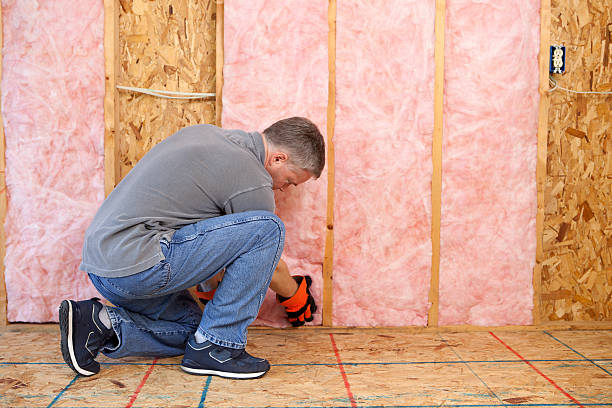 Best Eco-Friendly Insulation in Ripon, WI